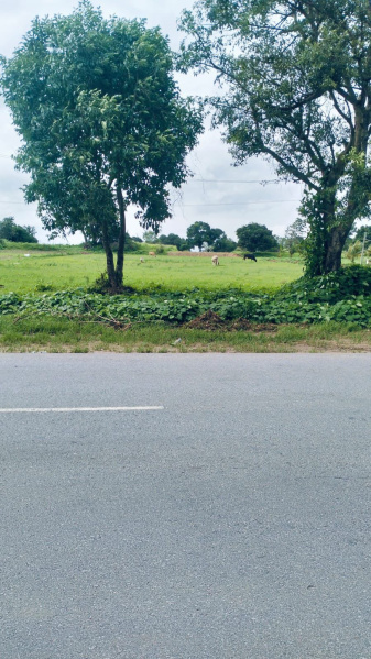  Agricultural Land 26 Guntha for Sale in Koduvalli, Chikmagalur