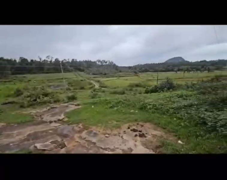  Agricultural Land 18 Acre for Sale in Hebbalu, Hassan