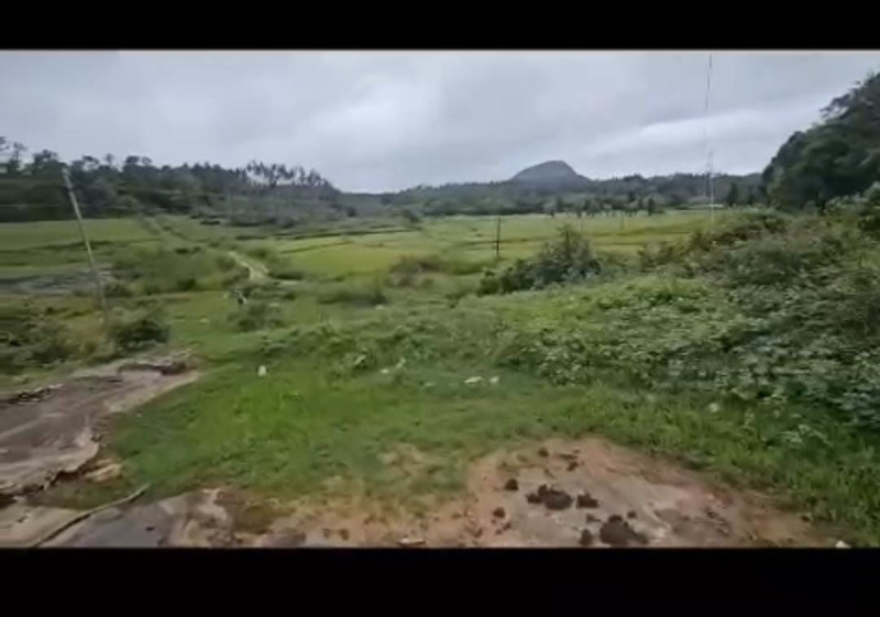  Agricultural Land 18 Acre for Sale in Hebbalu, Hassan