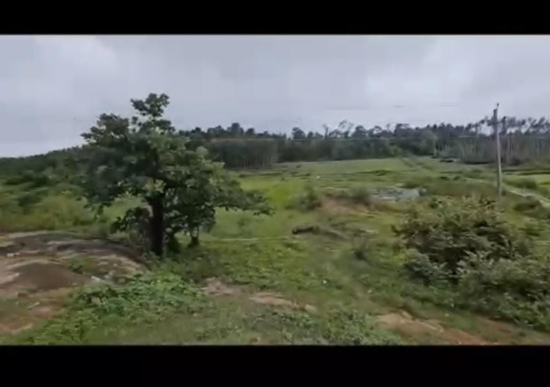  Agricultural Land 18 Acre for Sale in Hebbalu, Hassan