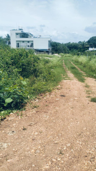 Agricultural Land for Sale in Doddaballapur, Bangalore