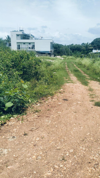  Agricultural Land 2 Acre for Sale in Doddaballapur, Bangalore