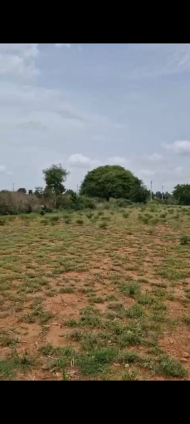  Agricultural Land 2 Acre for Sale in Doddaballapur, Bangalore