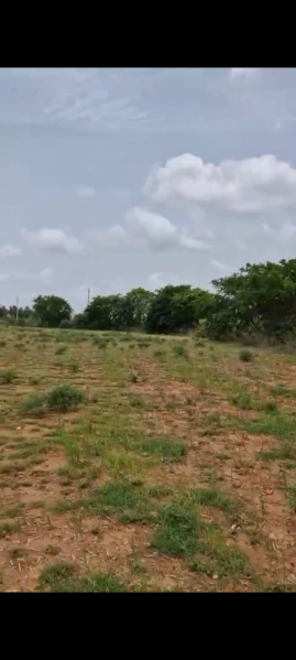  Agricultural Land 2 Acre for Sale in Doddaballapur, Bangalore