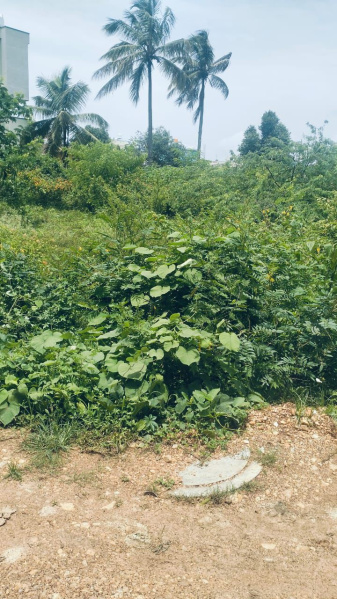  Commercial Land 7000 Sq.ft. for Sale in Balehonnur, Chikmagalur