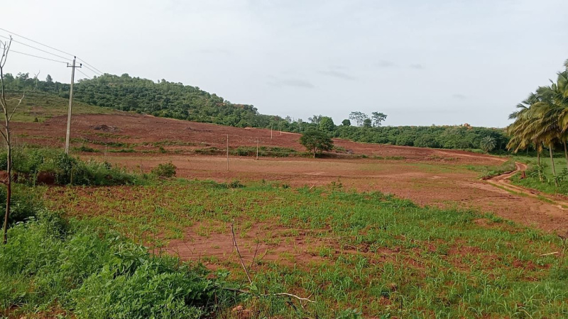  Agricultural Land 6 Acre for Sale in Nandi Hills, Bangalore