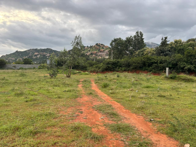  Agricultural Land 6 Acre for Sale in Nandi Hills, Bangalore