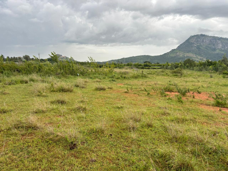  Agricultural Land 6 Acre for Sale in Nandi Hills, Bangalore