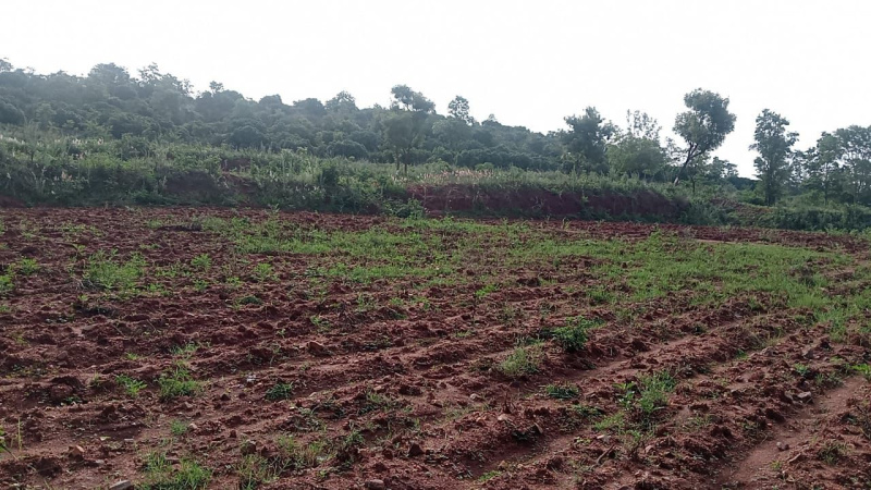  Agricultural Land 11 Acre for Sale in Ramanagara, Bangalore