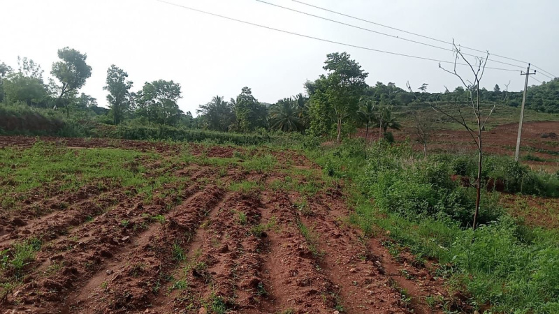  Agricultural Land 11 Acre for Sale in Ramanagara, Bangalore