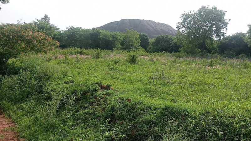  Agricultural Land 6 Acre for Sale in Ramanagara, Bangalore