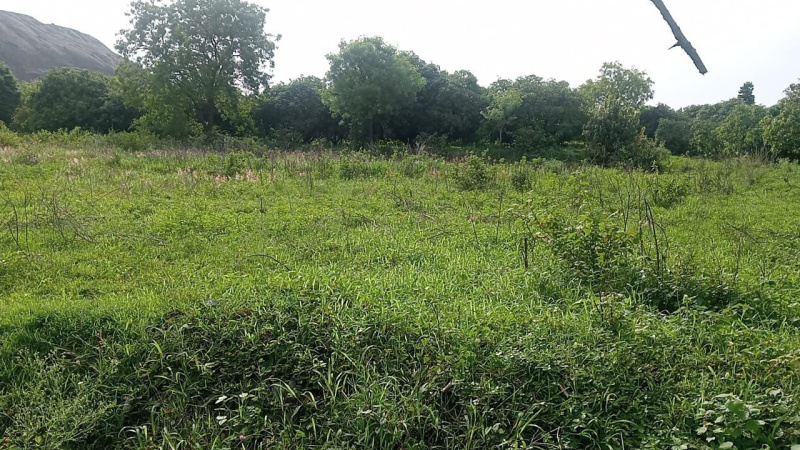 Agricultural Land 6 Acre for Sale in Ramanagara, Bangalore