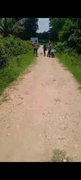  Agricultural Land 13 Acre for Sale in Ramanagara, Bangalore