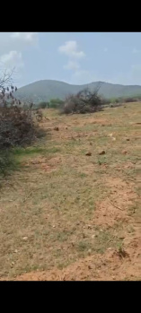  Agricultural Land for Sale in Hanuma Reddy Layout, Bangalore