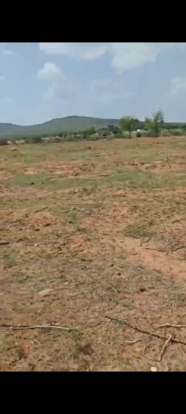  Agricultural Land 13 Acre for Sale in Hanuma Reddy Layout, Bangalore
