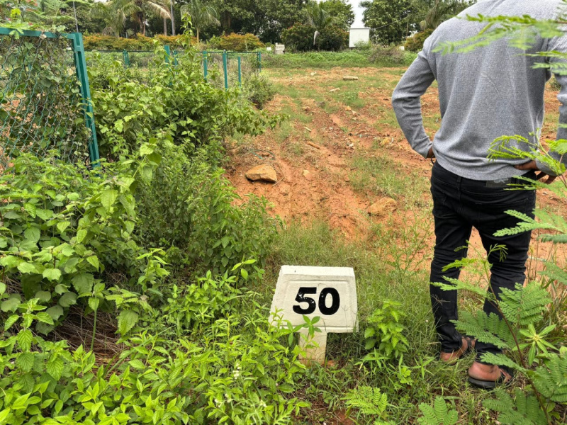  Agricultural Land 2398 Sq.ft. for Sale in Kanakapura, Bangalore