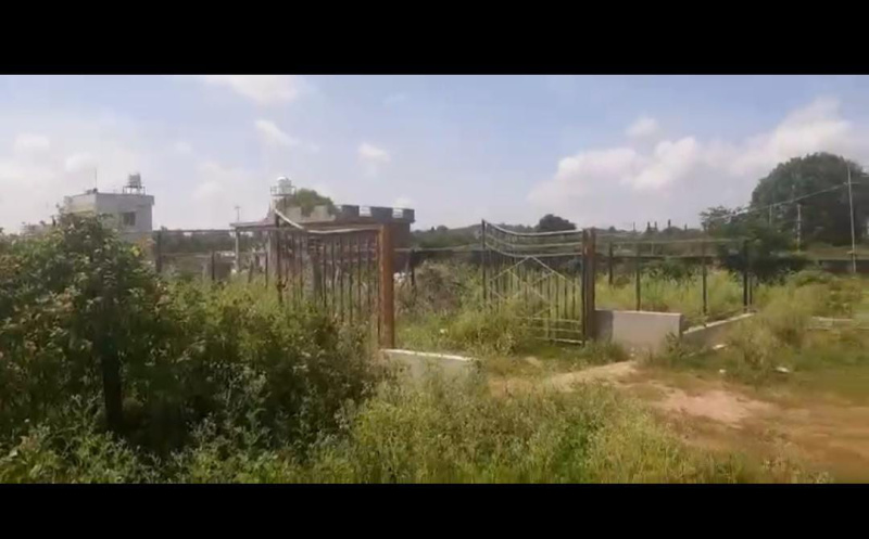  Agricultural Land 4500 Sq.ft. for Sale in Mallandur Road, Chikmagalur