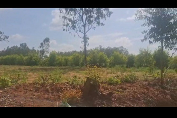  Agricultural Land for Sale in Doddaballapur, Bangalore