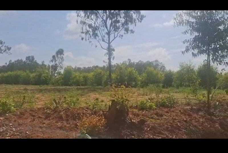  Agricultural Land 1 Acre for Sale in Doddaballapur, Bangalore