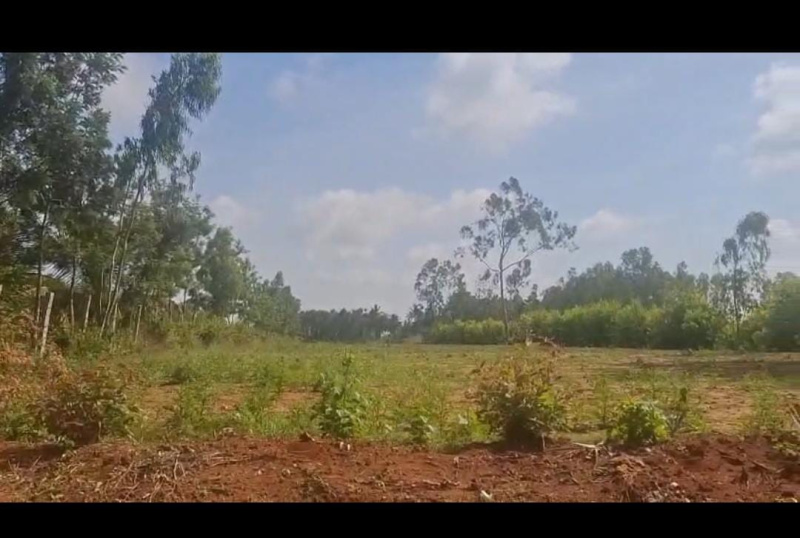  Agricultural Land 1 Acre for Sale in Doddaballapur, Bangalore