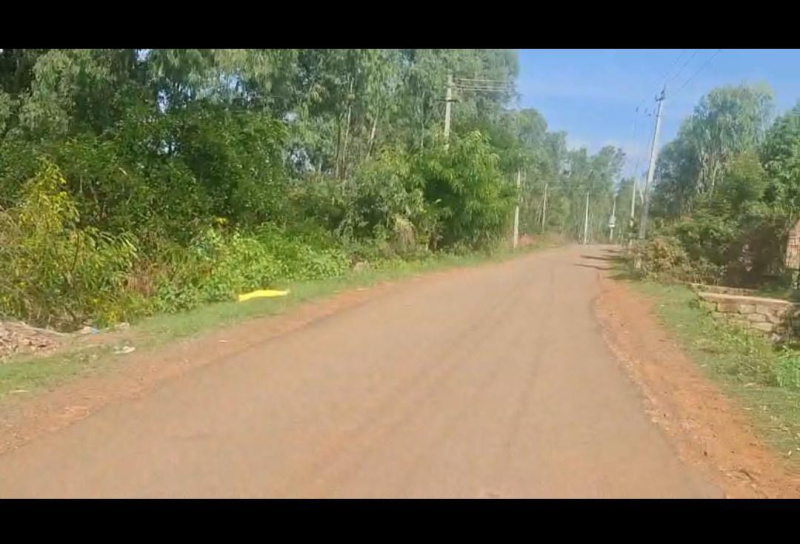  Agricultural Land 1 Acre for Sale in Doddaballapur, Bangalore