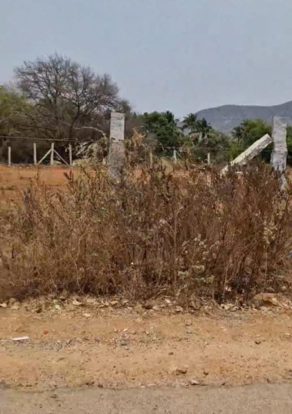  Agricultural Land 11 Guntha for Sale in Doddaballapur, Bangalore