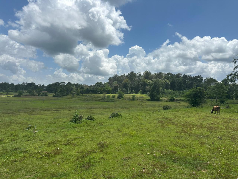  Agricultural Land 8 Acre for Sale in Hebbalu, Hassan