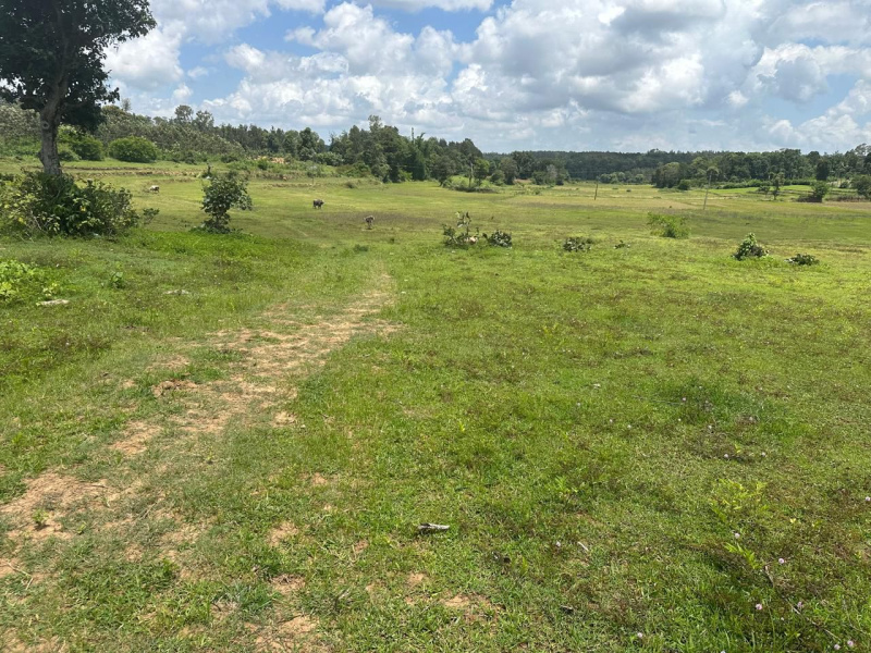  Agricultural Land 8 Acre for Sale in Hebbalu, Hassan
