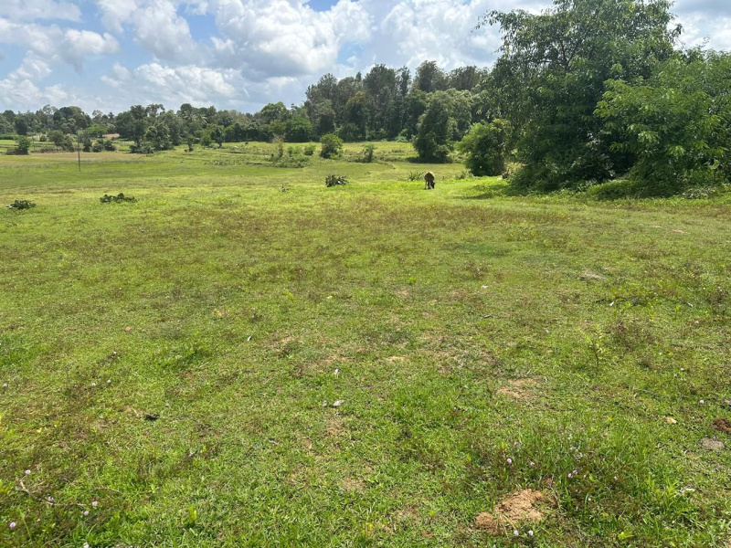  Agricultural Land 8 Acre for Sale in Hebbalu, Hassan