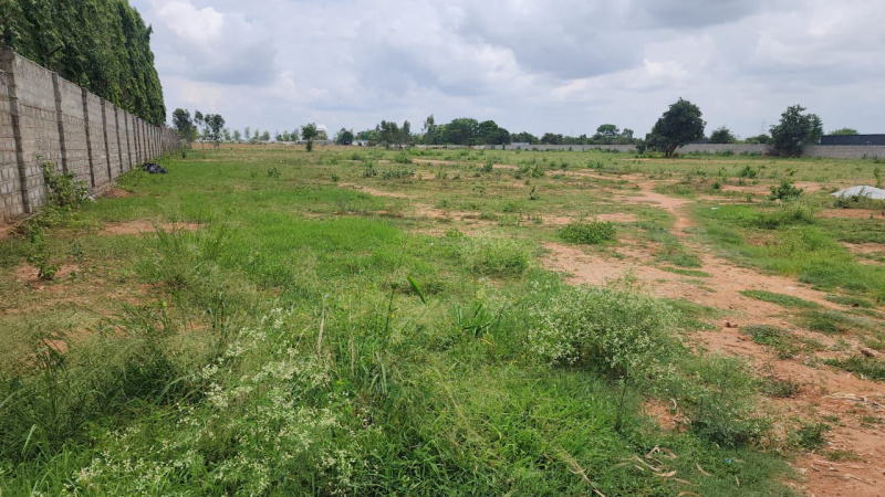  Agricultural Land 1 Acre for Sale in Devanahalli, Bangalore