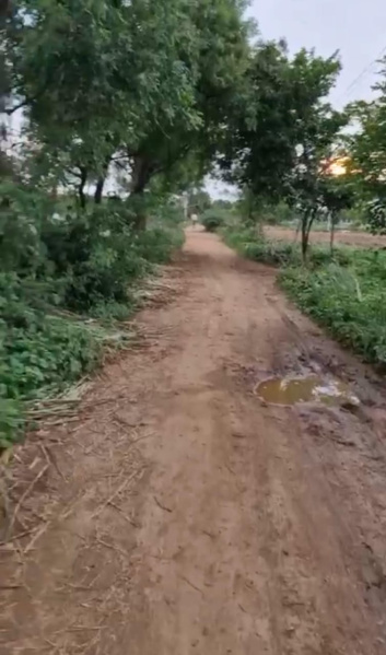  Agricultural Land 2 Acre for Sale in Chikkaballapur, Bangalore