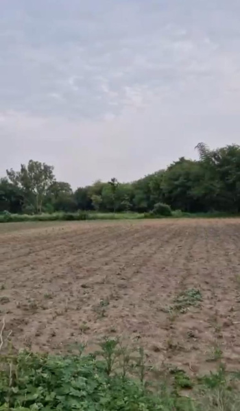  Agricultural Land 2 Acre for Sale in Chikkaballapur, Bangalore