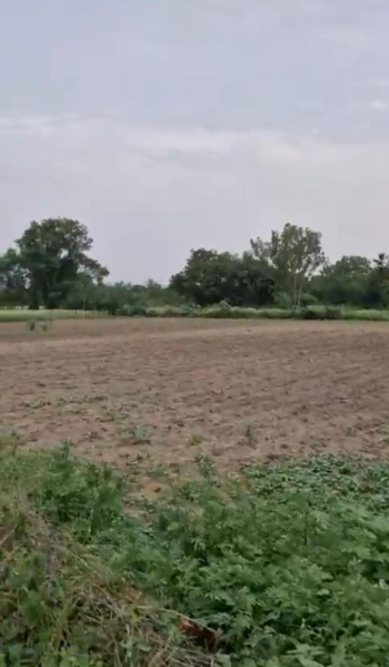  Agricultural Land 2 Acre for Sale in Chikkaballapur, Bangalore