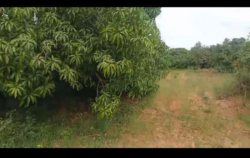  Agricultural Land 3 Acre for Sale in Ramanagara, Bangalore