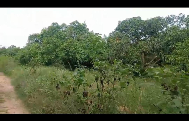  Agricultural Land 3 Acre for Sale in Ramanagara, Bangalore
