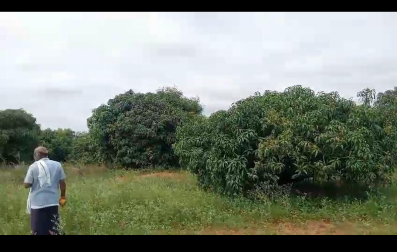 Agricultural Land 2 Acre for Sale in Ramanagara, Bangalore
