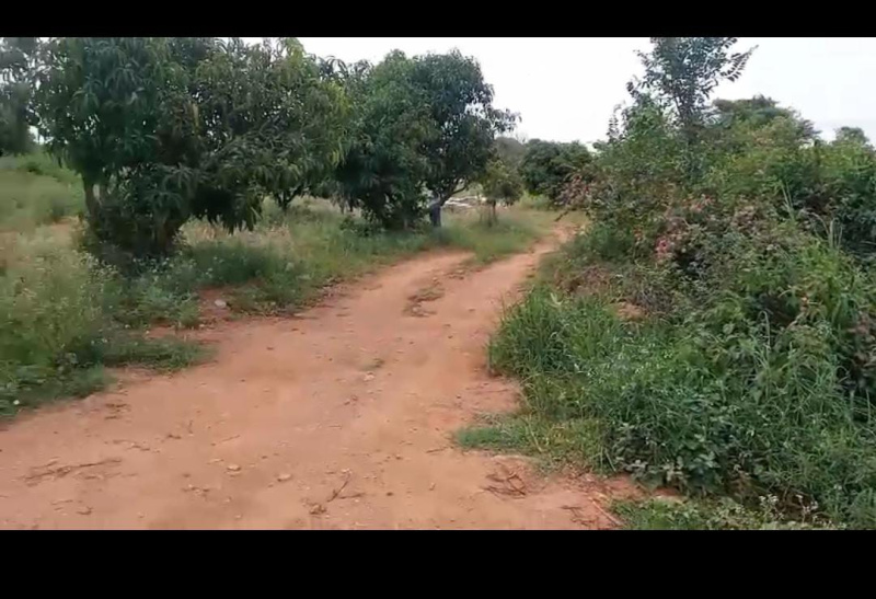  Agricultural Land 2 Acre for Sale in Ramanagara, Bangalore