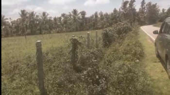  Agricultural Land for Sale in Aldur, Chikmagalur