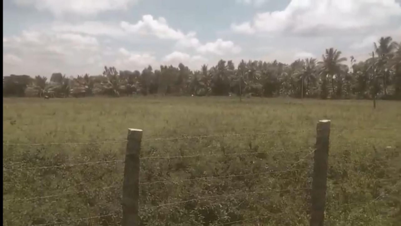 Agricultural Land 3 Acre for Sale in Aldur, Chikmagalur