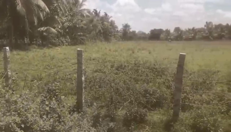  Agricultural Land 3 Acre for Sale in Aldur, Chikmagalur