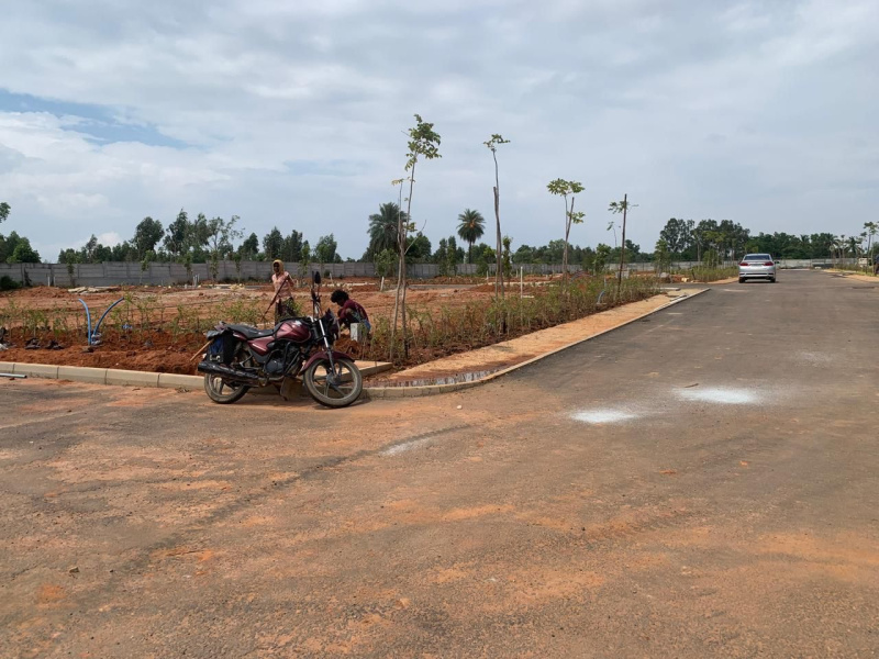  Commercial Land 2480 Sq.ft. for Sale in Devanahalli, Bangalore