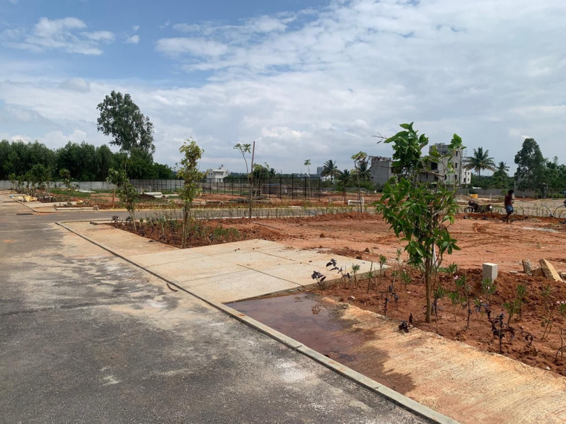  Commercial Land 2480 Sq.ft. for Sale in Devanahalli, Bangalore