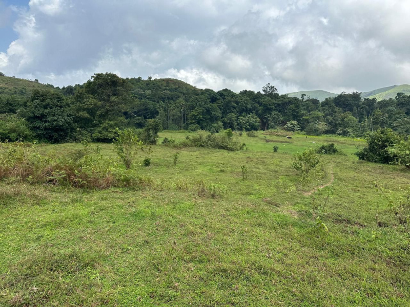  Agricultural Land 34 Guntha for Sale in Mudigere, Chikmagalur