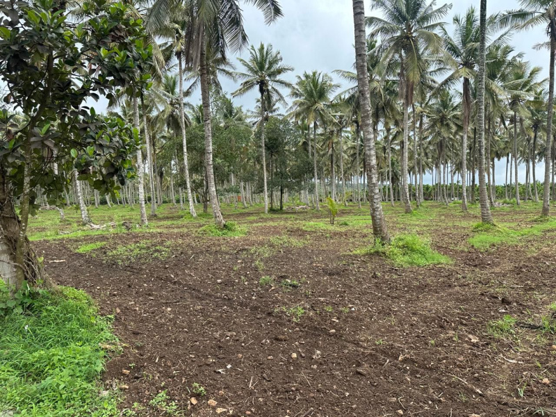  Agricultural Land 4 Acre for Sale in Alur, Hassan
