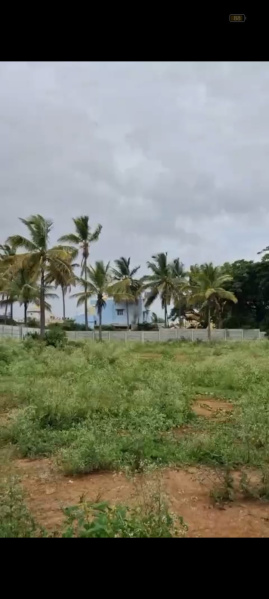  Agricultural Land 13500 Sq.ft. for Sale in Doddaballapur, Bangalore