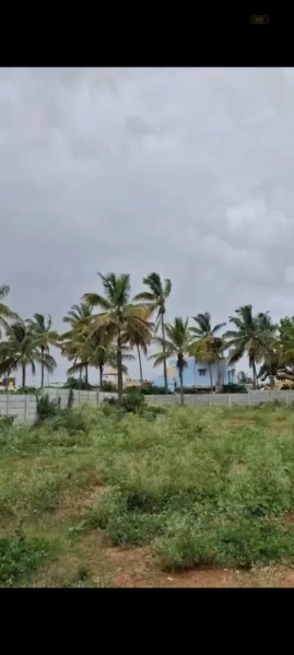  Agricultural Land 13500 Sq.ft. for Sale in Doddaballapur, Bangalore