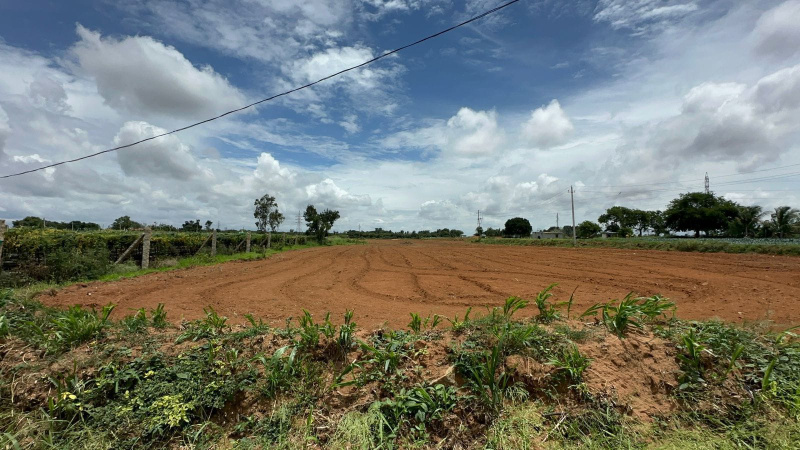  Agricultural Land 63504 Sq.ft. for Sale in Doddaballapur, Bangalore
