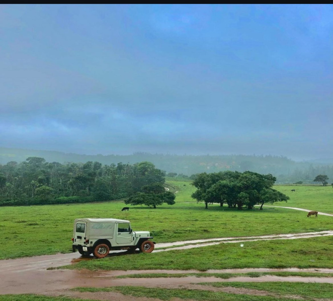  Agricultural Land 11 Acre for Sale in Sakleshpur, Hassan