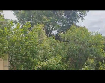  Agricultural Land for Sale in Ramanagara, Bangalore