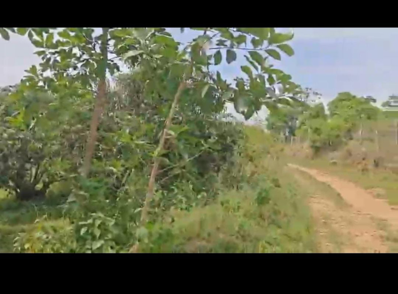  Agricultural Land 1 Acre for Sale in Ramanagara, Bangalore